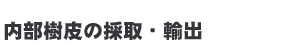 �^�q�{��������̍̎�`���{�֗A�o